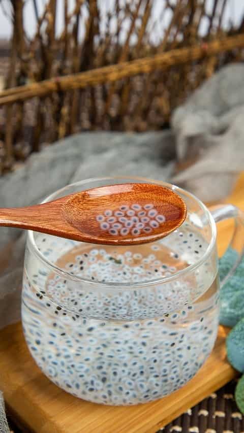 Basil Seeds (Tukham Balangu)
