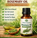 Rosemary Oil